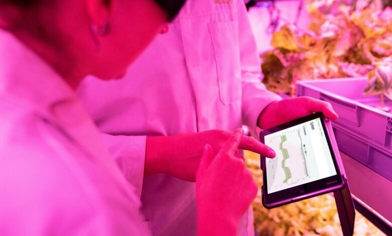 maximize digital growth tools